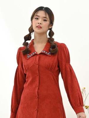 Embroidered Collar Textured Mini Dress