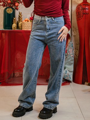 TT Alfonso Wide Leg Denim Pants