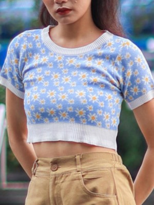 Daisy Knitted Crop Top 